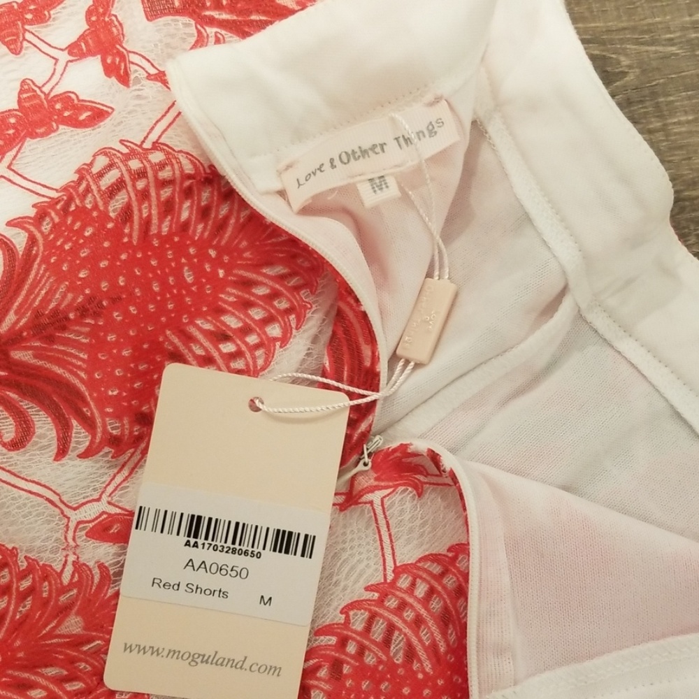 Missguided | Love & Other Things Red Lace Shorts - Picture 6 of 7